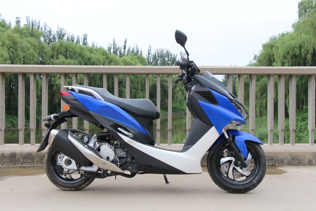 高颜值蚂蚱,漂亮巨型蚂蚱