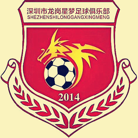 中冠球队队徽,中冠联赛logo