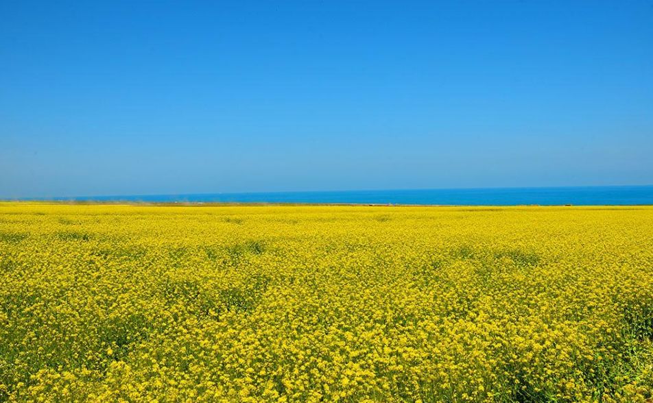 青海湖茶卡盐湖的路线,青海湖茶卡盐湖大草原