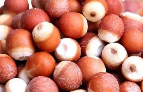 年轻人强肾固精养肾喝什么茶,补肾养肾汤