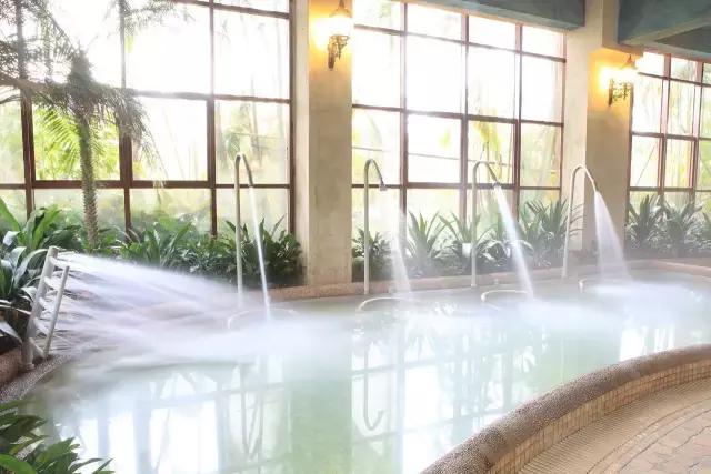 云顶温泉度假酒店无边际泳池,云顶温泉大酒店有多少家