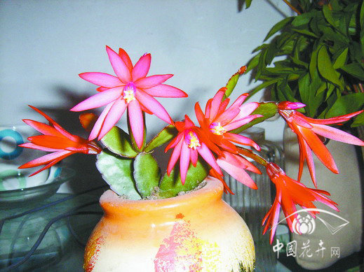 男生祝我幸福,男孩祝心爱的女孩幸福