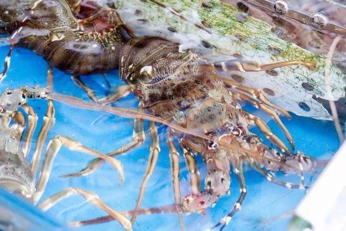 行走在海口的美食记,不容错过的美味