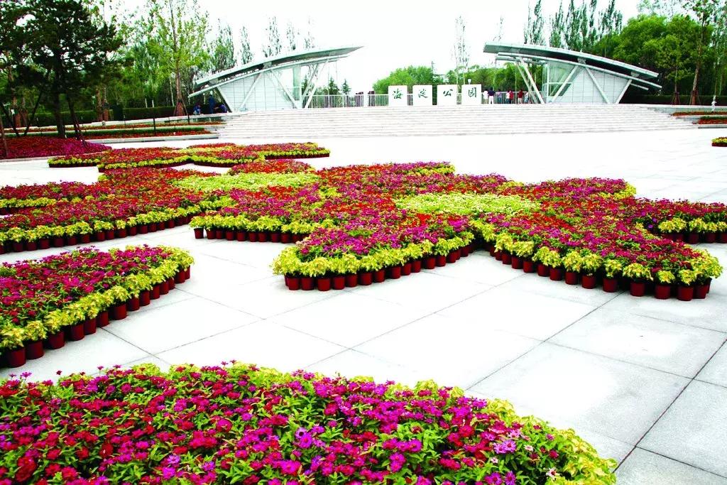 1990年北京海淀区老照片,奥运会老照片100张