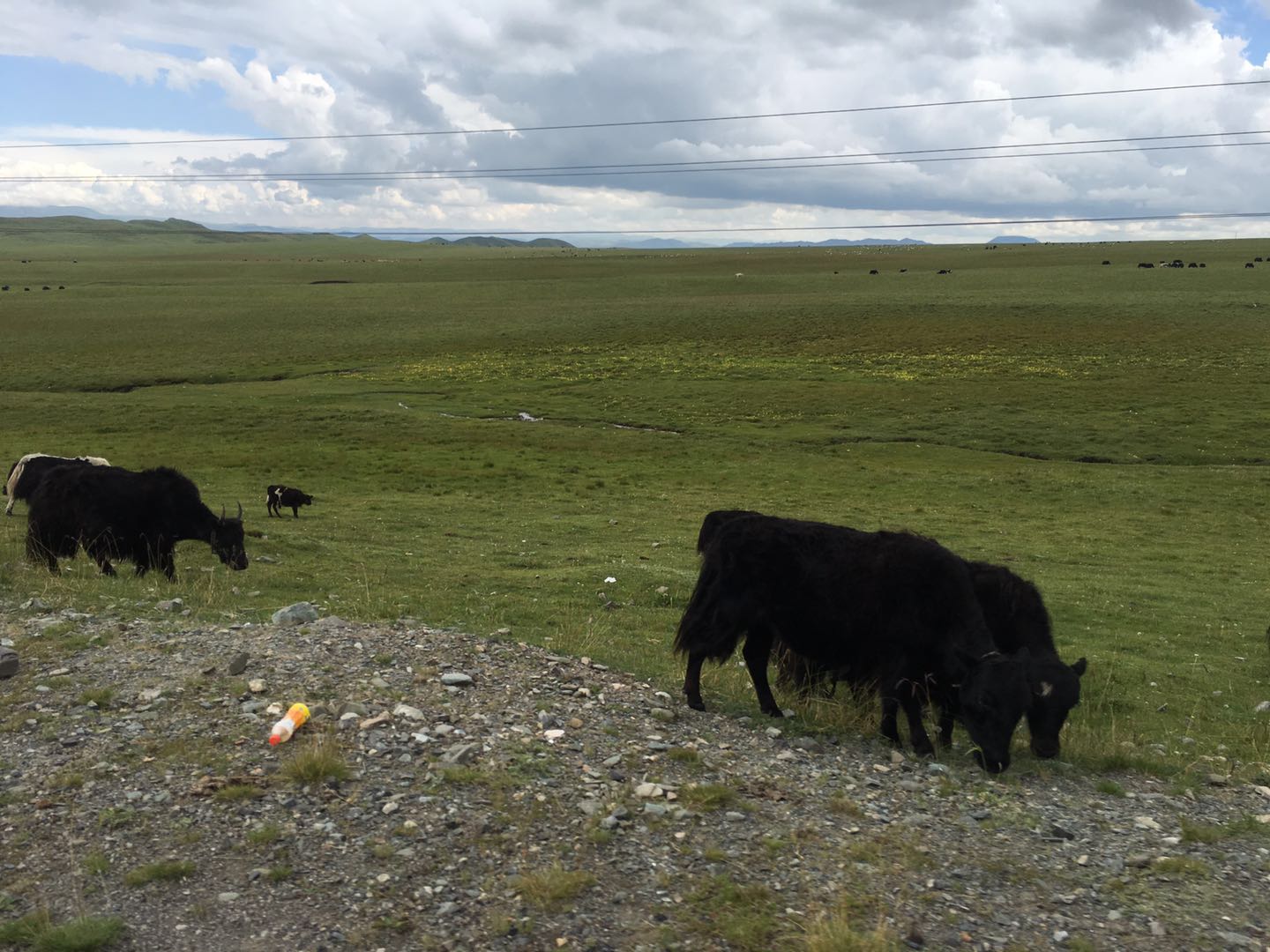 80岁老夫妻自驾游世界各地,湖南80后夫妻自驾环游全国