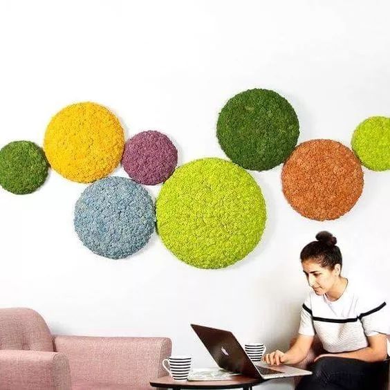 适合大白墙的绿植,把绿植挂在墙上