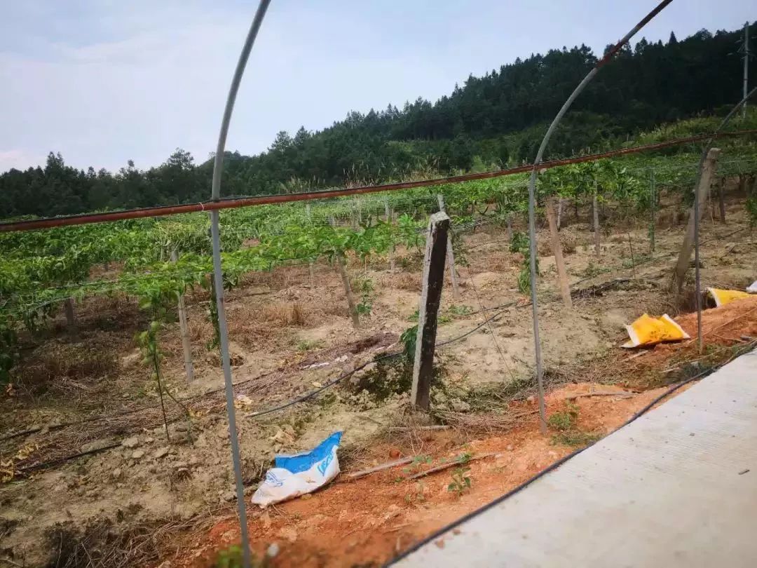 看过来！带你走一走将乐的这些返乡青年创业基地~｜新时代新作为新篇章