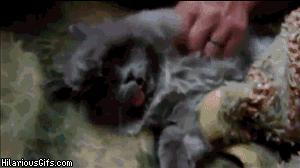 为什么有些人很吵都能睡着,为什么有的人很吵也能睡得着