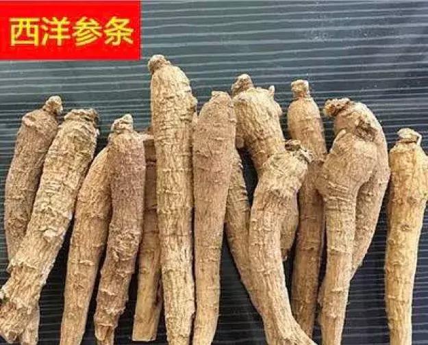 海关都查验过哪些奇葩违禁物品,海关违禁水果