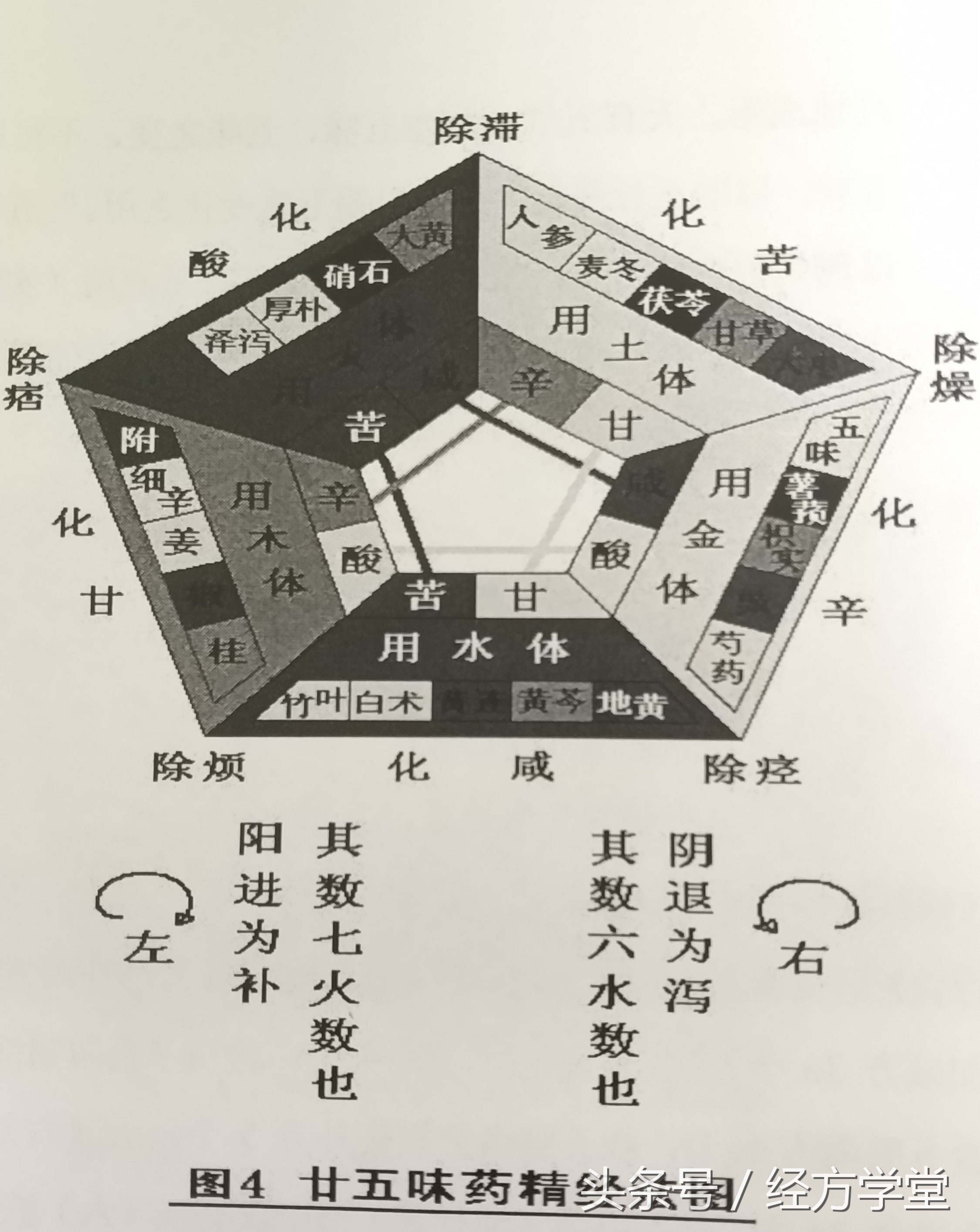 辅行诀组方结构图解,辅行诀组方用药规律图