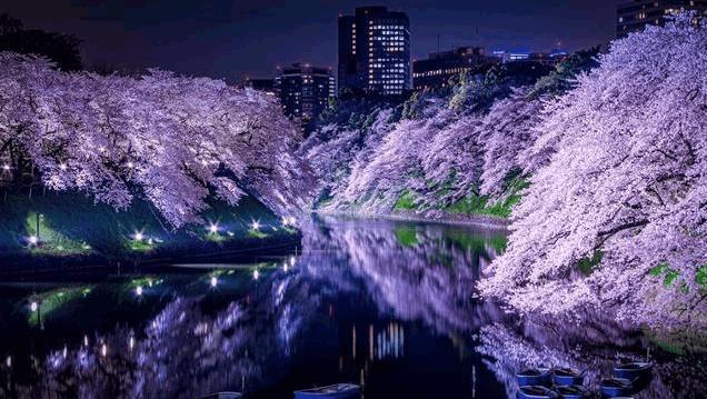 日本东京怎么样,东京这个城市如何