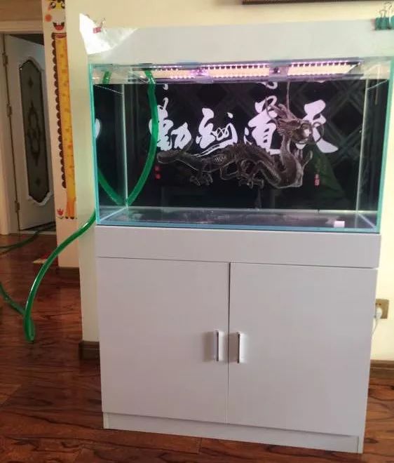 冲动购物一时爽,冲动购物的感悟