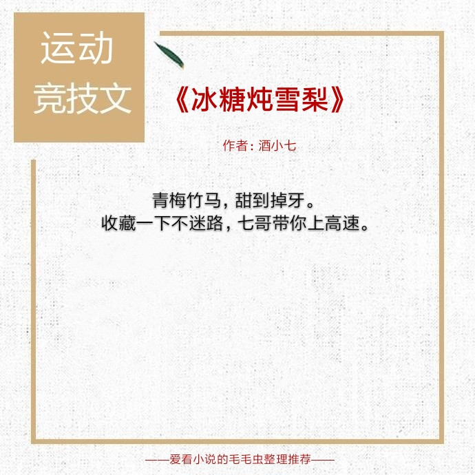 5本体育竞技小说,运动竞技文