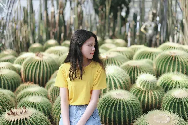 人少景美还免费！深圳13个私藏拍照圣地！随手一拍都是大片！