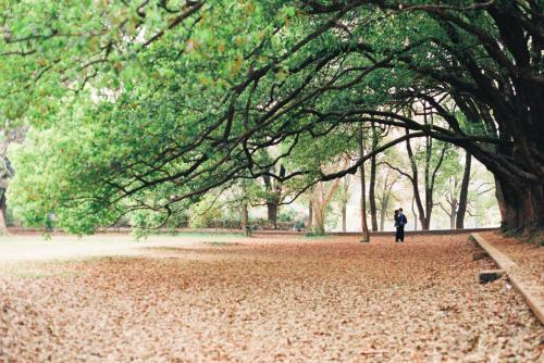 武汉大学好就业专业排名2023,武汉大学遥感专业就业薪酬