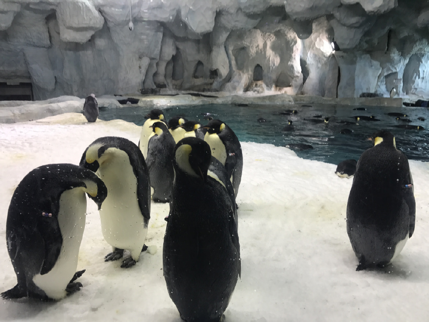 这个夏天带上ta来场浪漫的旅行,带上心爱的ta来一次浪漫之旅
