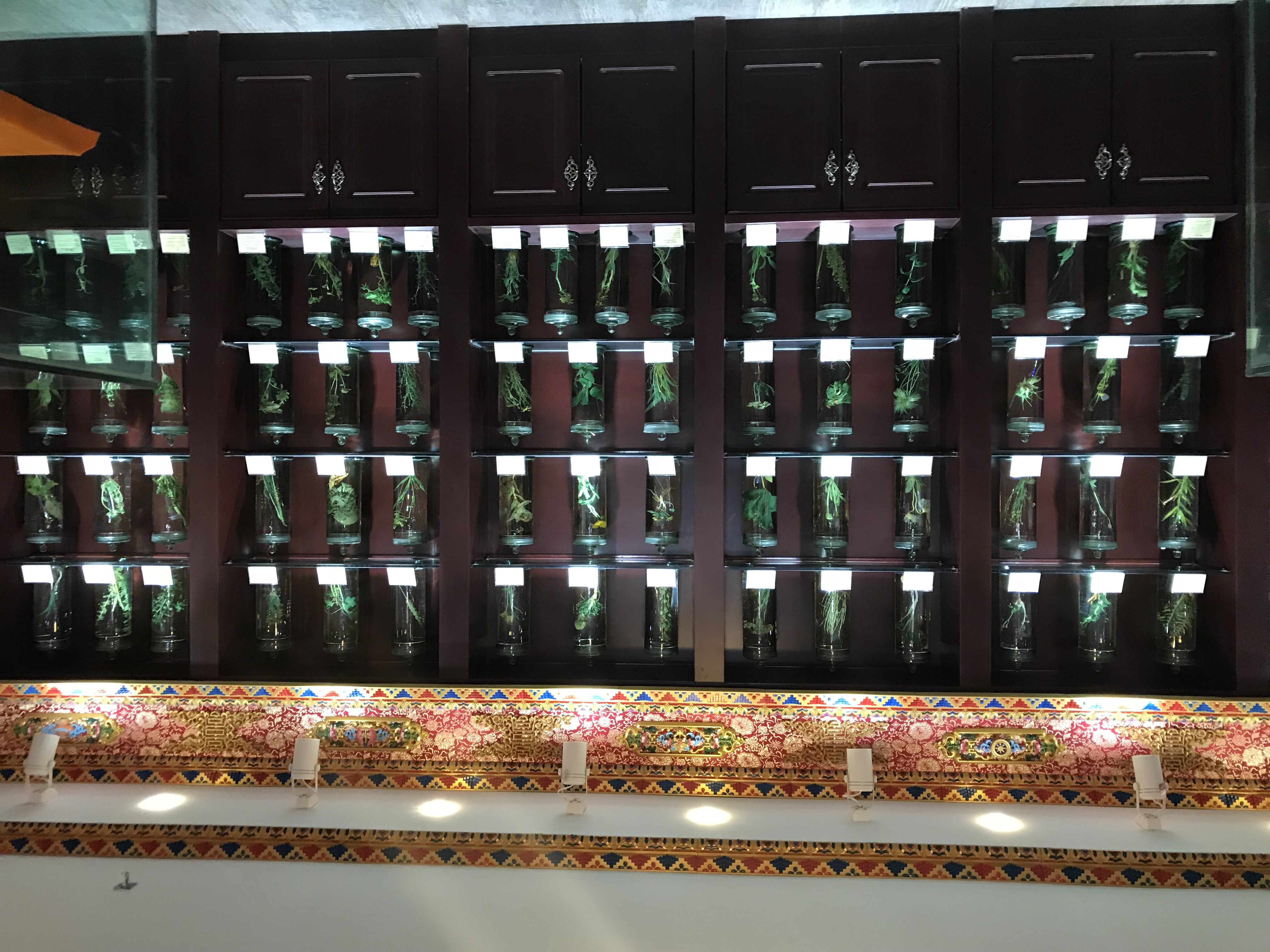 神奇的雪域高原,西藏的神秘藏医藏药