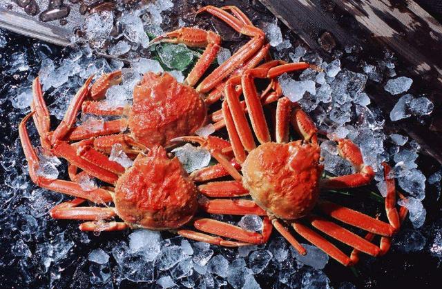 全国十大最好的海鲜自助餐,十大最好的海鲜自助餐