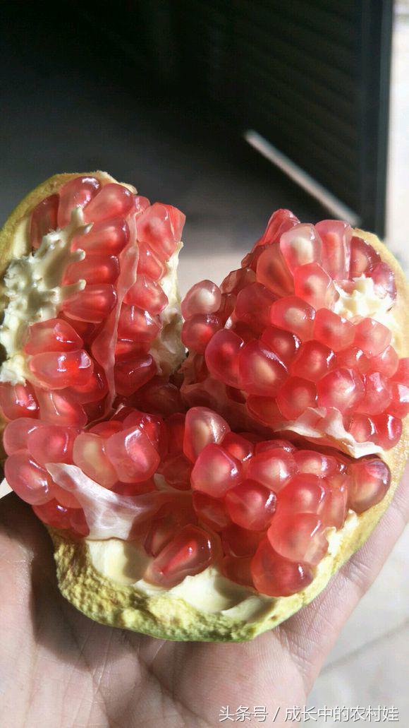 石榴营养丰富，药用价值高，连被我们吐掉的籽也含有较高营养价值