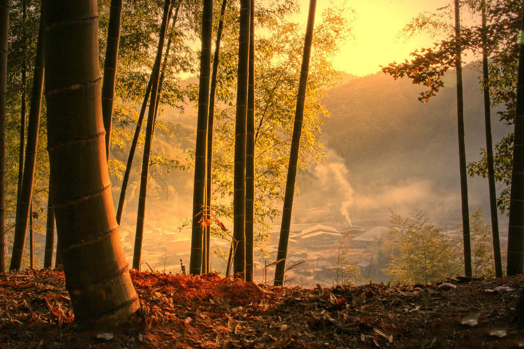 ps教程零基础ps工具讲解下集,photoshop教程视频播放