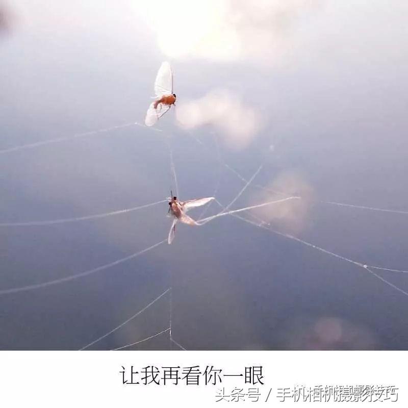 普通人如何拍有意思的视频,生活中可以拍哪些有趣的视频