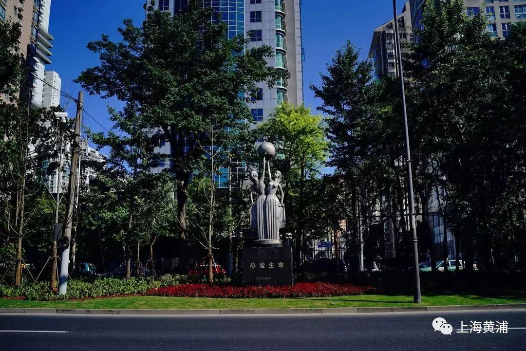 臭水浜变成了林荫道,《从臭水浜到林荫道》小学课文