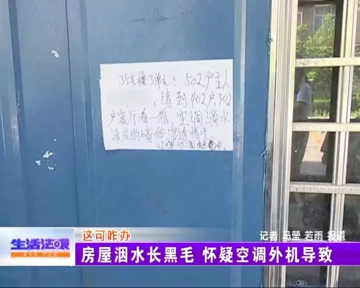 屋里长了白毛是怎么回事,屋里有黑毛是什么原因