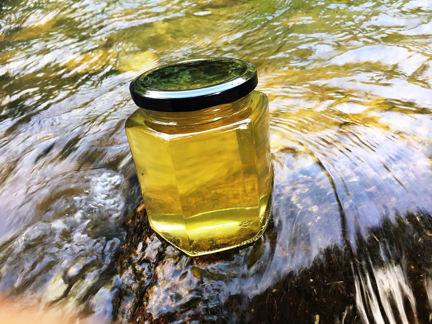 养蜂人一次性带你了解蜂蜜,养蜂人讲各种蜂蜜的特点