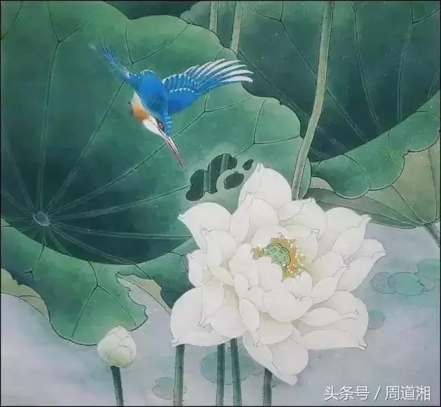 初学者工笔画花鸟画的视频教程,国画初学者入门工笔画画马步骤