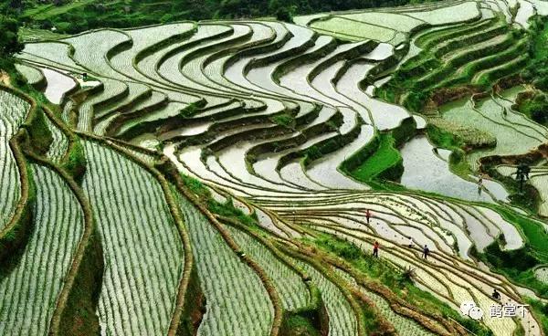 山歌文化传统音乐,山歌贵州纯音乐