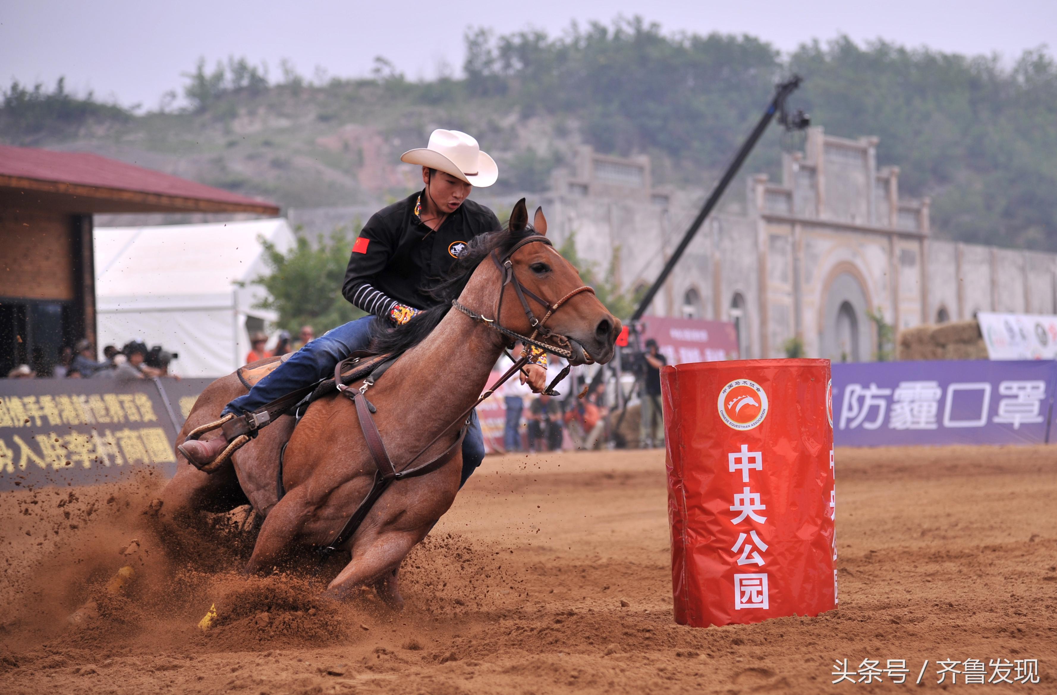青岛马术,青岛竞技体育史话之2