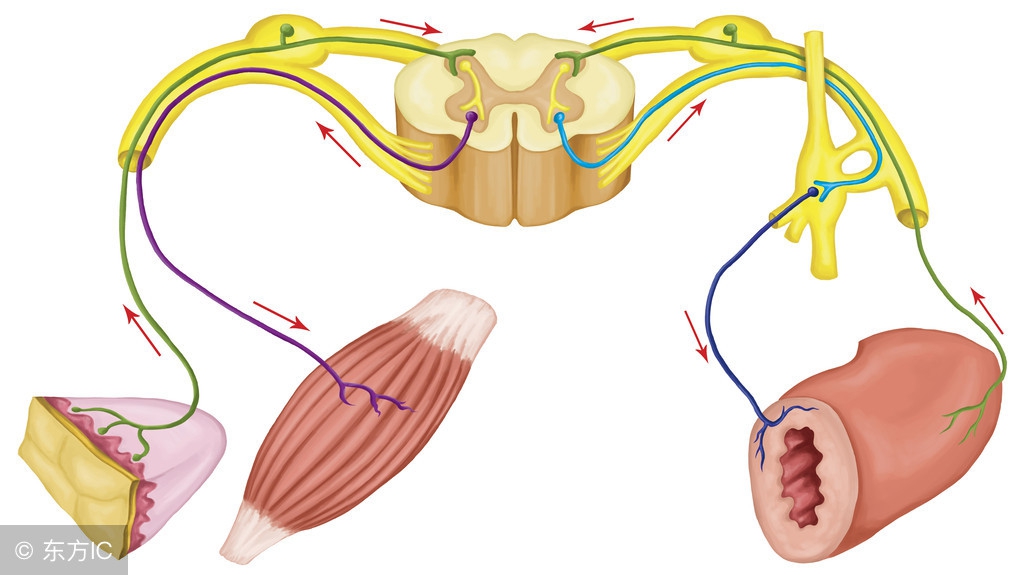 耳鸣怎么办6种方法轻松对付耳鸣,缓解耳鸣症状的4个方法
