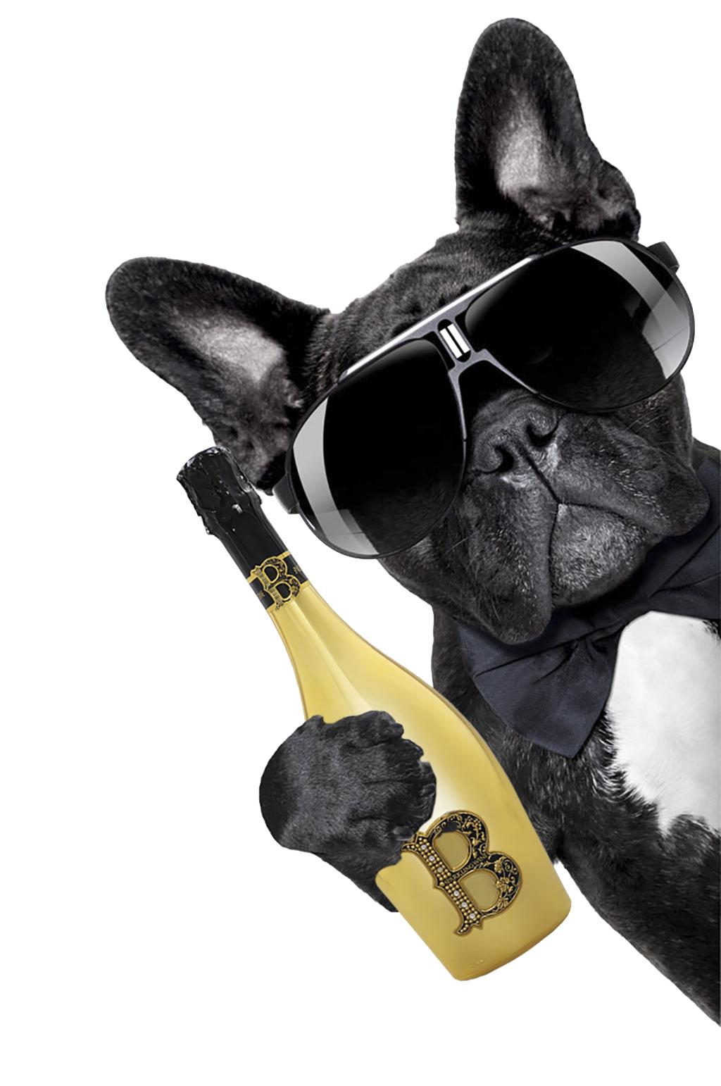 国产十大放心狗粮品牌力狼,狗粮的十大牌子排行榜有哪些