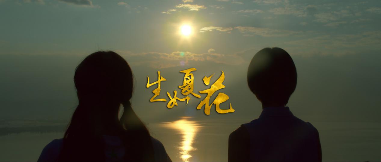 哪些电影中的风景特别美,文艺电影的目的