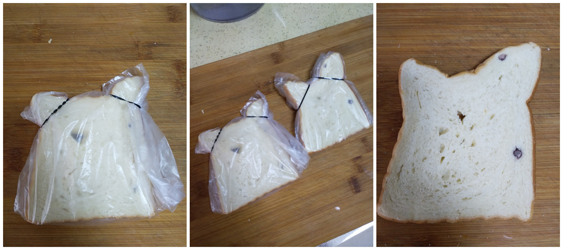 这丑萌丑萌的小仓鼠,谁还舍得吃掉?