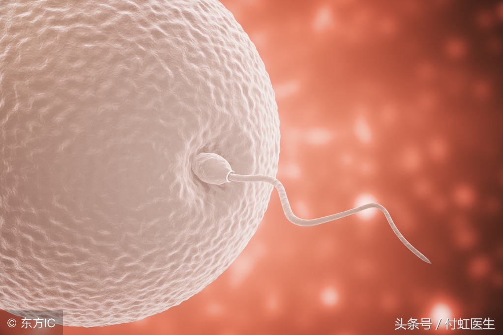 一个卵一个精子能成功吗,有一个精子能和卵子结合吗