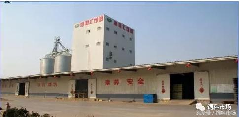 绿色无抗齐鲁行第1期：海明汇饲料：中草药替抗之路的实践者