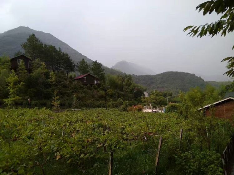 怎样打造爆款民宿,民宿怎么打造网红