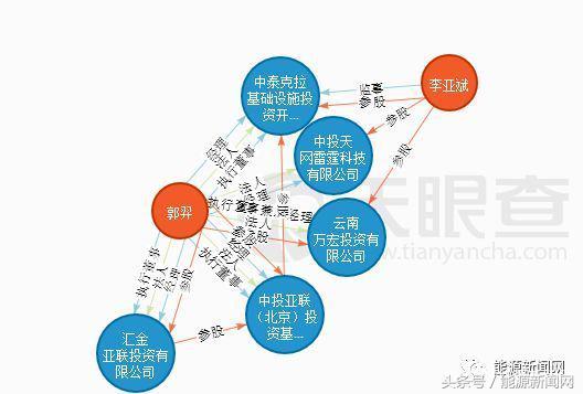 非法*储吸**！新能源“民族英雄”跌落神坛