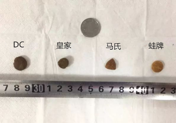 宠物行业狗粮内幕,狗粮内幕