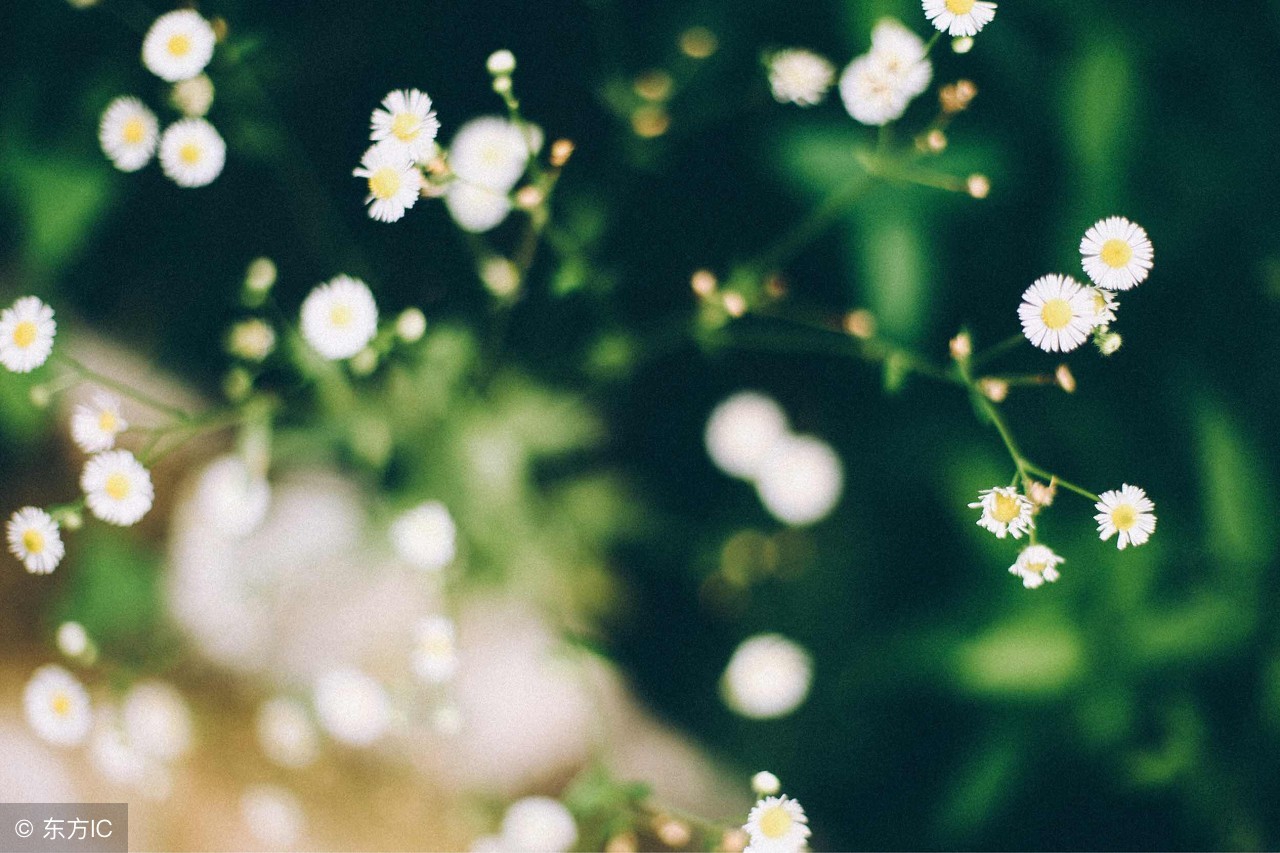 异性的红颜知己和蓝颜知己,男女之间除了蓝颜知己还有什么