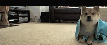 腿抽筋是缺钙引起的吗,腿抽筋是缺钙吗究其原因都有哪些