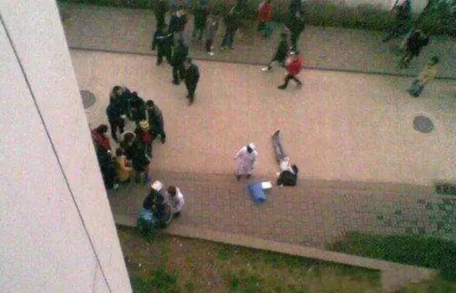 这一回，宜家开始“虐待”植物了！30天3D循环辱骂，活生生把植物给“骂枯”！