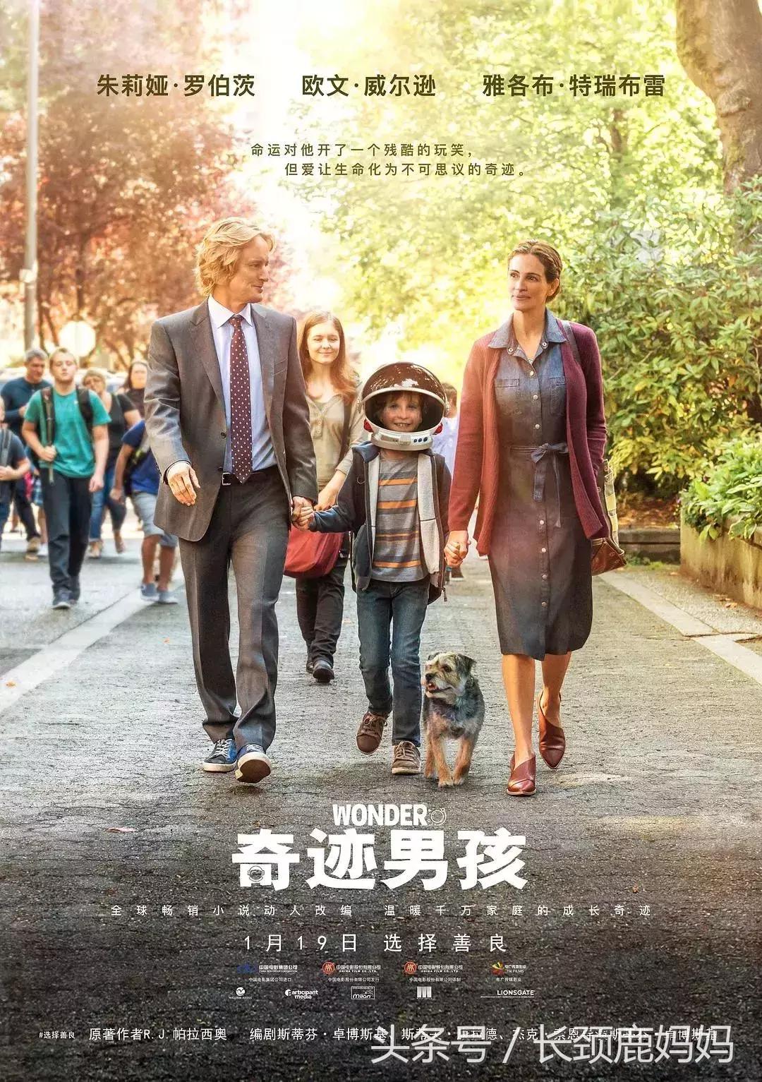 儿童动画电影6-12岁励志免费观看,儿童经典电影推荐大片9.0以上评分