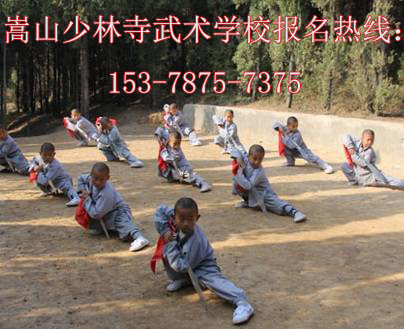 少林寺武术表演收费吗,少林寺少儿班收费标准