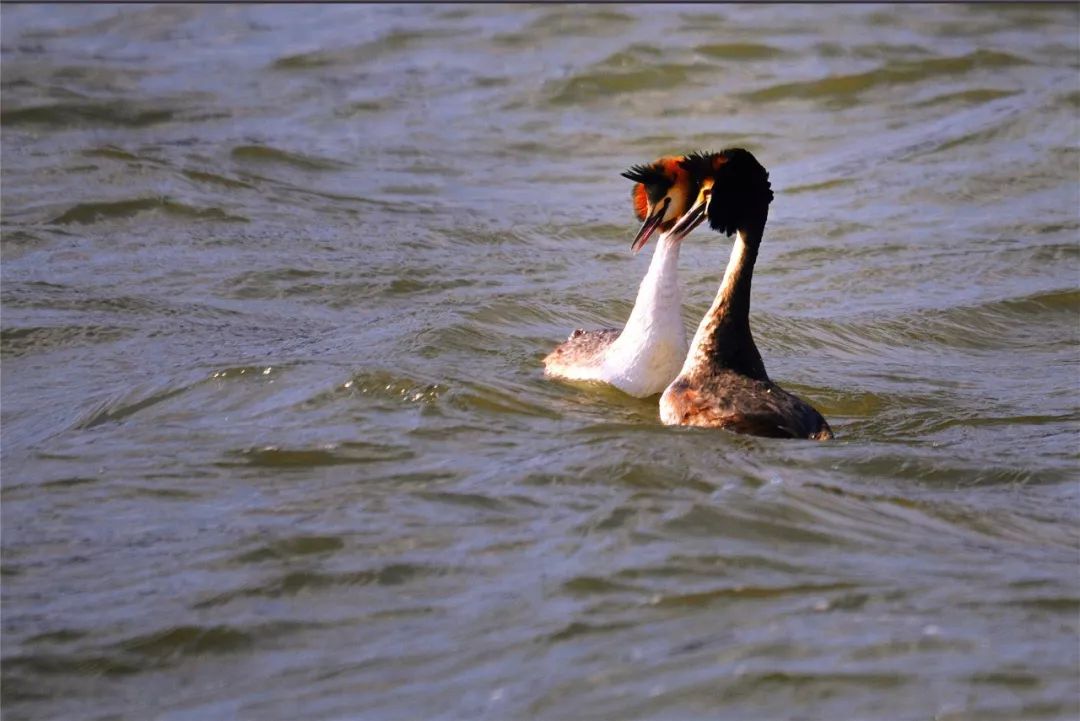 触手可及的只是短暂的幸福,触手可及的才是真实的