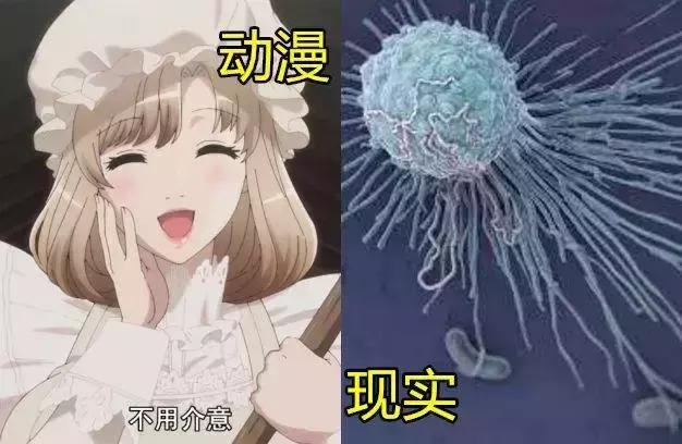 血小板动漫中的血小板,动漫血小板在现实中多少岁