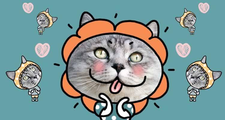 500块钱化妆品,500块钱的化妆品好用吗