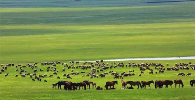 世界哪四大草原,世界四大草原哪个草原位于南美洲