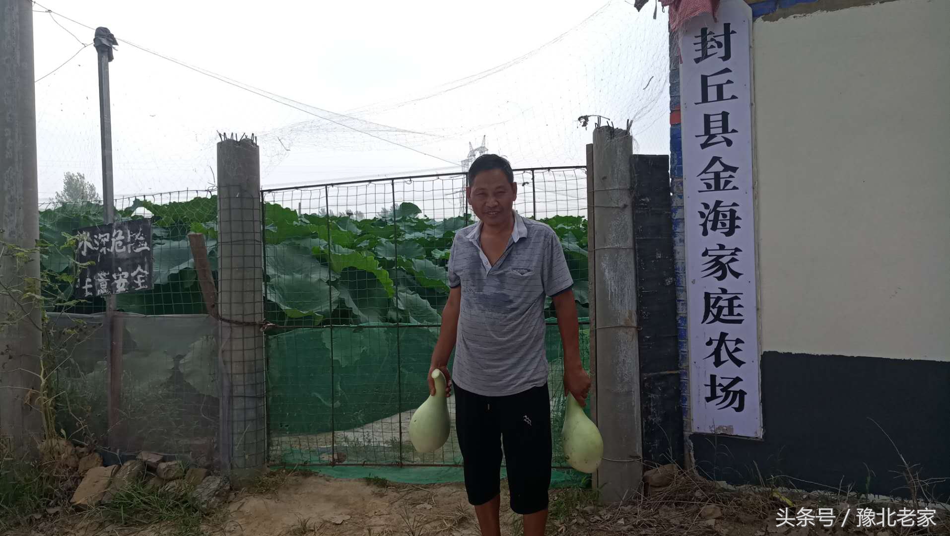 回乡创业利用稻田养泥鳅,泥鳅养殖脱贫